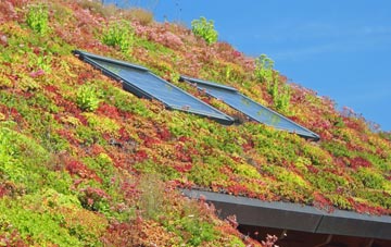 Dungannon living roof systems